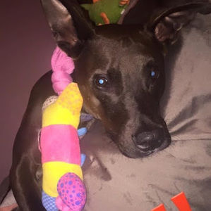 Meet your Posher, Tanya